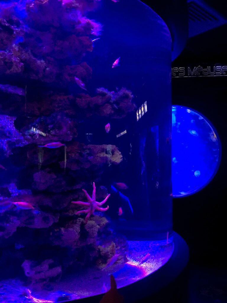 aquarium